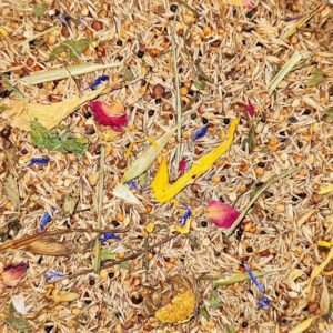 Saaten in Parrots Parcel Nature